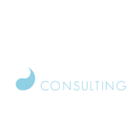 (c) Escalconsulting.com